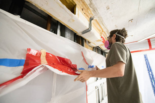 West Sharyland, TX Mold Removal Company