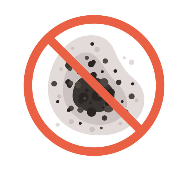 Best Commercial Mold Inspection  in West Sharyland, TX
