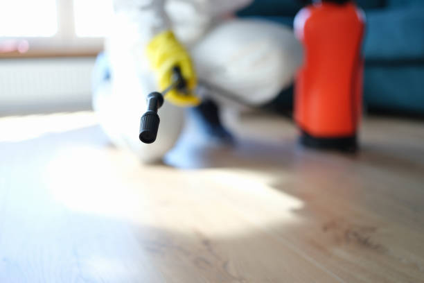 Best Forensic Mold Investigation  in West Sharyland, TX